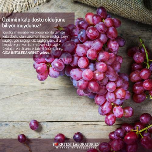 Kalp dostu: Üzüm